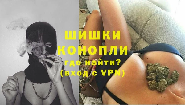 PSILOCYBIN Баксан