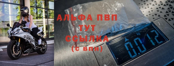 ГАЛЛЮЦИНОГЕННЫЕ ГРИБЫ Инсар