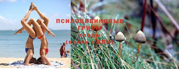 PSILOCYBIN Баксан