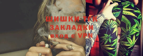 шишки Каменка